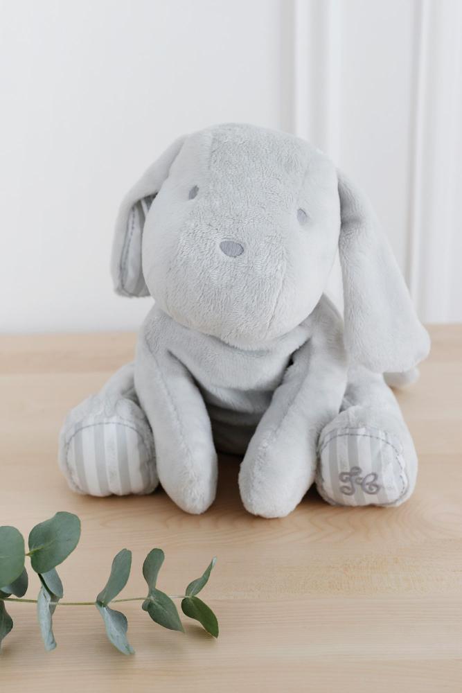 Lucien, the Dog - Tartine et Chocolat