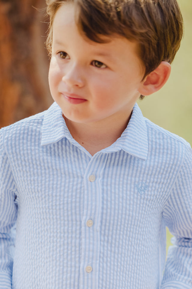 Shirt - Blue Greyé Stripes - Image principale
