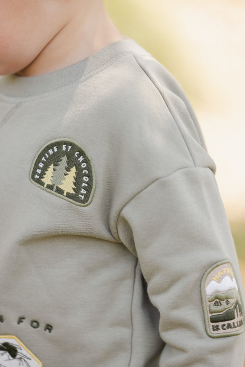 Sweatshirt - Grün Farnkämme-Entdecker - Image principale