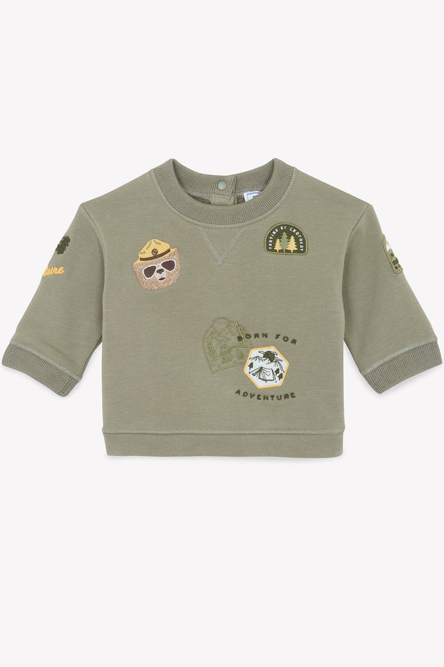 Sweatshirt - Grün Farnkämme-Entdecker - Image principale