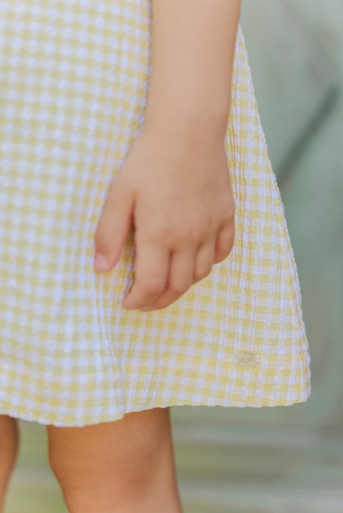 Robe - Pollen vichy smock brodé - Image principale