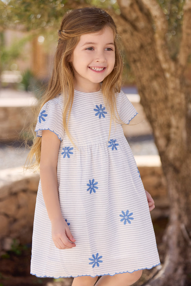 Robe - Indigo rayures - Image principale