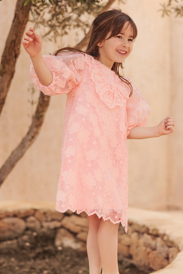 Robe - Rose ancien tulle broderie fleurie - Image principale