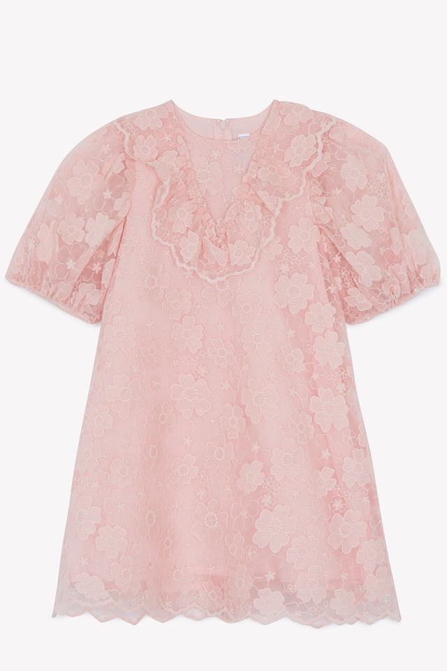 Dress - Pink old tulle Embrodery flowery - Image principale