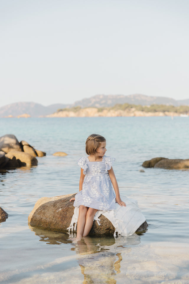 Robe - Marine à rayures broderie fleurie - Image principale