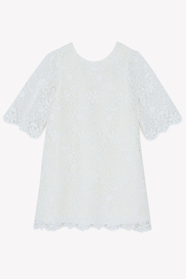 Kleid – ecru Spitze - Image principale