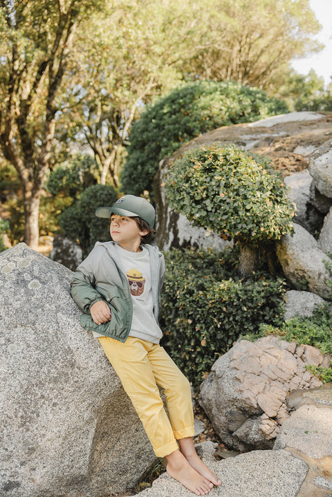 Windbreaker - Green degraded fern - Image principale