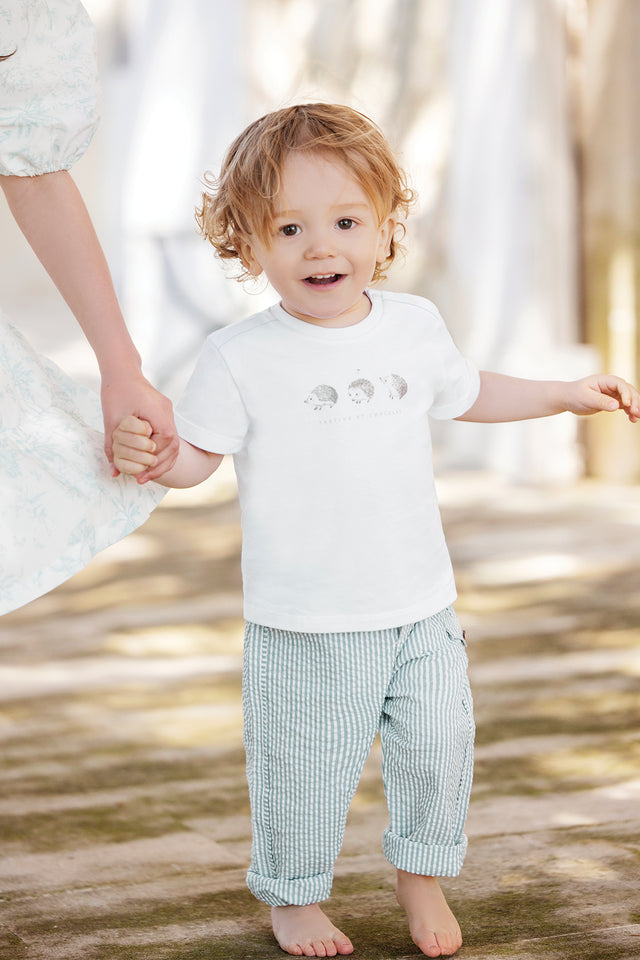 Pantalon - Emeraude rayures - Image principale