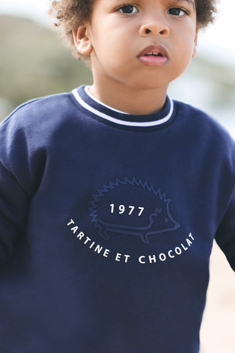 Sweat - Marine hérisson - Image principale