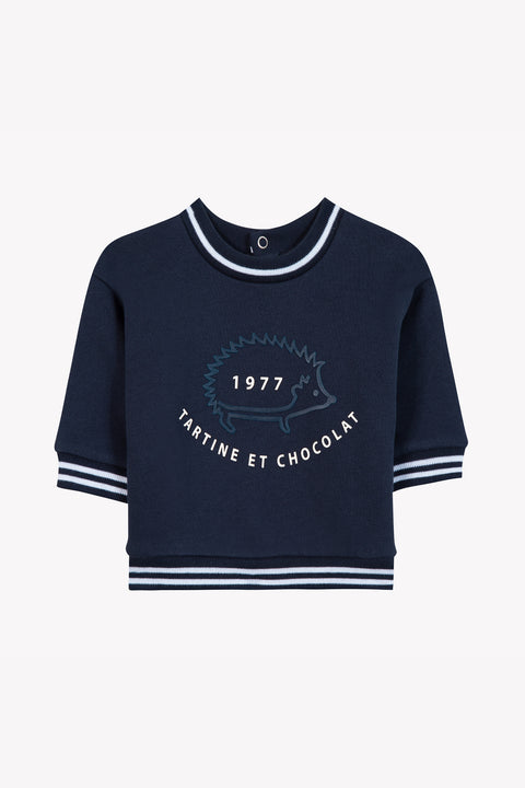 Sweat - Marine hérisson - Image principale