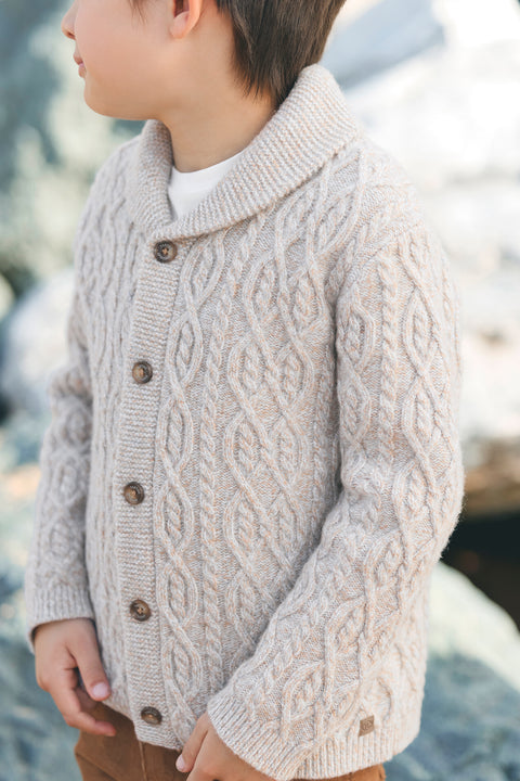 Gilet - Gris col châle maille torsadée - Image principale