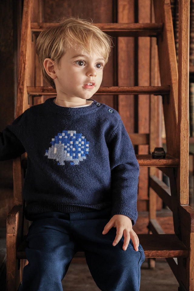 Pull - Marine illustration hérisson pixel - Image principale