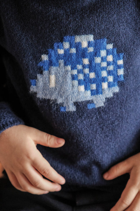 Pull - Marine illustration hérisson pixel - Image principale