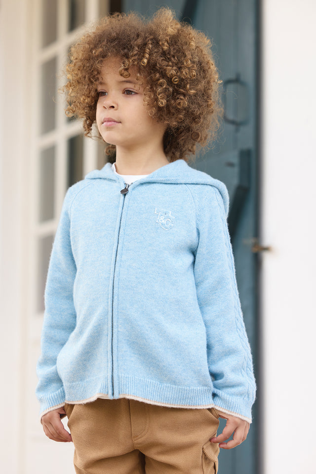 Gilet - Bleu glacier chiné signature TC - Image principale