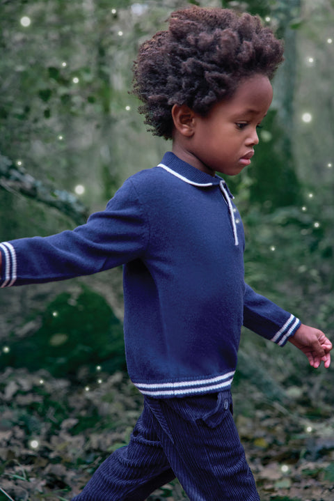 Pull - Marine col pointu - Image principale