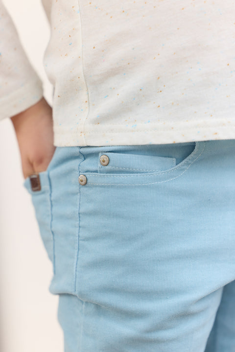 Pantalon - Bleu glacier en velours - Image principale