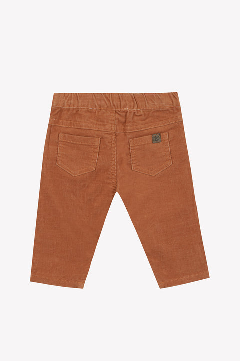 Trousers - rust in Velvet - Image principale