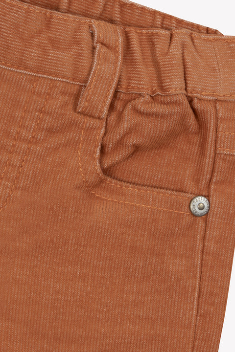 Trousers - rust in Velvet - Image principale