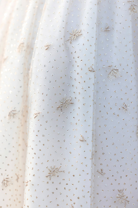 Robe - Ecru velours et tulle - Image principale