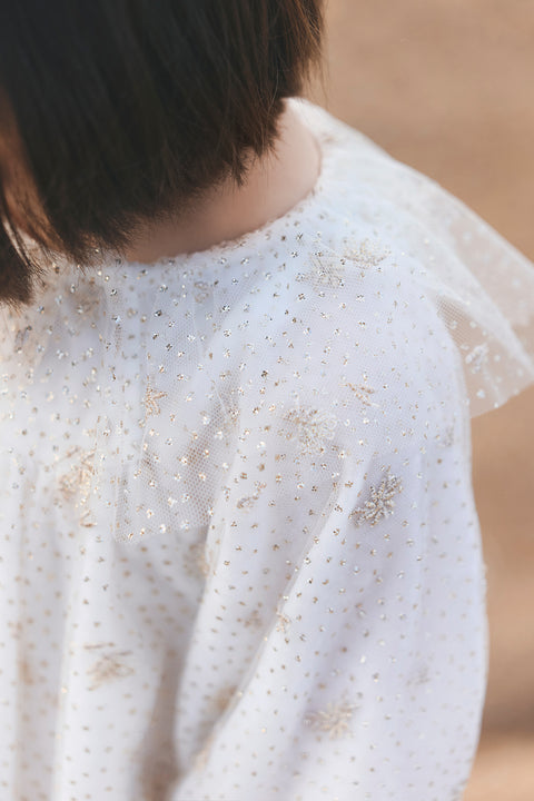 Robe - Ecru velours et tulle - Image principale