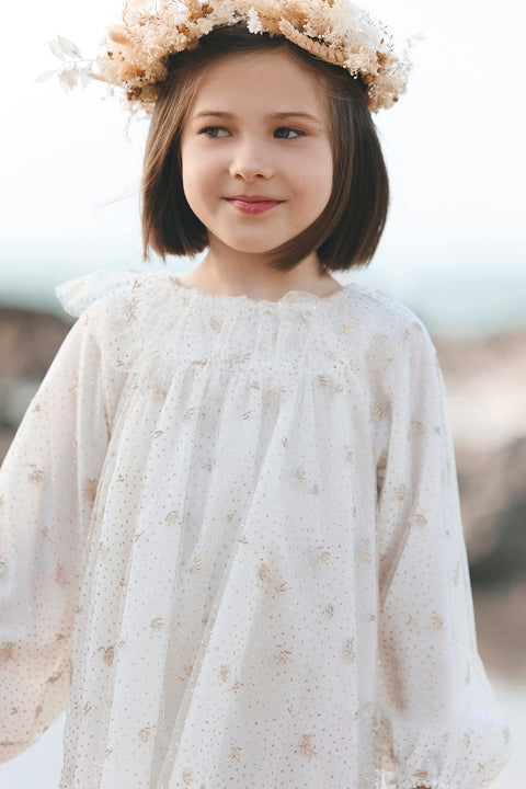 Robe - Ecru velours et tulle - Image principale