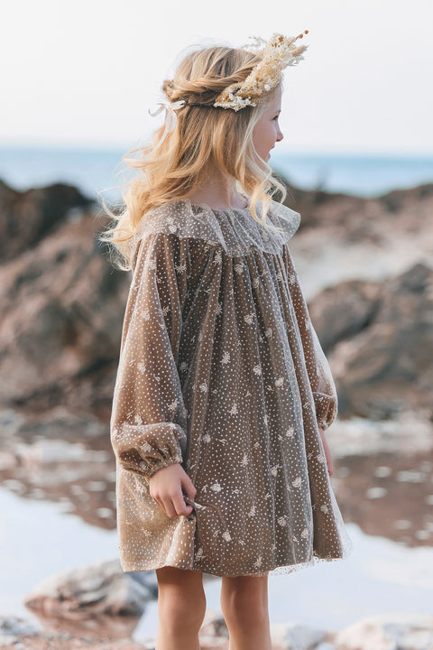 Robe - Bronze velours et tulle - Image principale