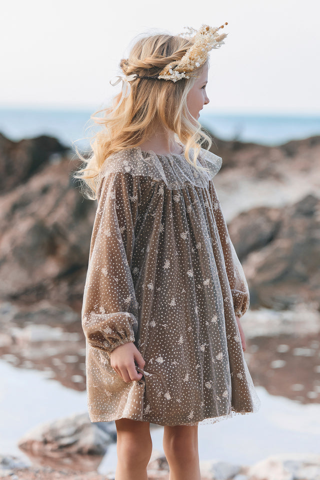 Kleid - Bronze Samt und Tüll - Image principale