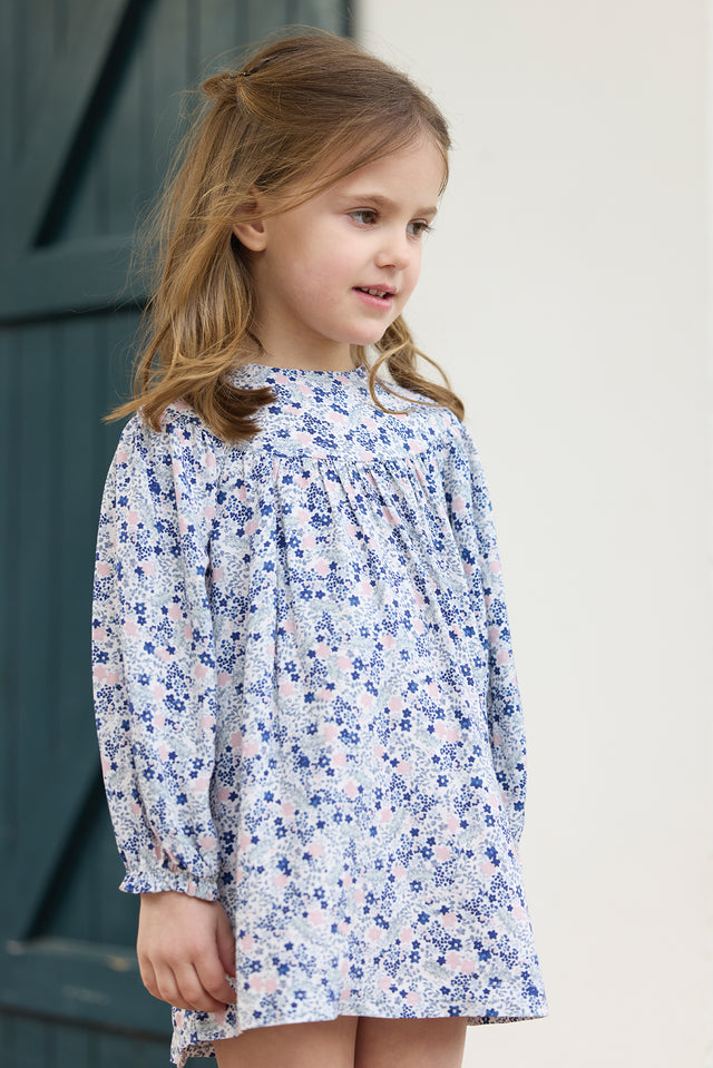 Robe - Bleuet à petites fleurs - Image principale