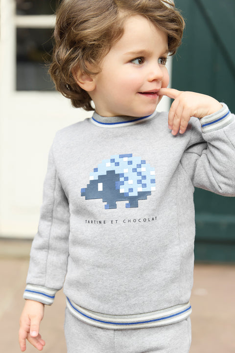 Ensemble jogging - Gris hérisson pixel - Image principale