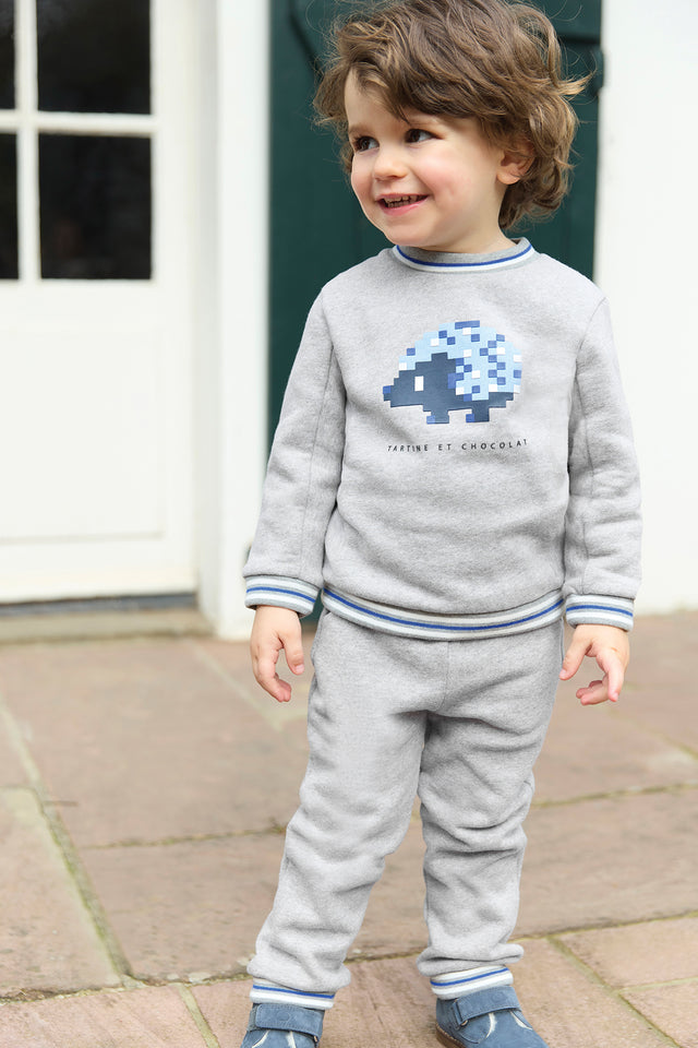 Ensemble jogging - Gris hérisson pixel - Image principale