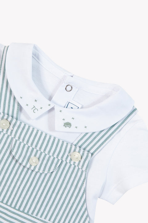 Ensemble court - Emeraude rayures - Image principale