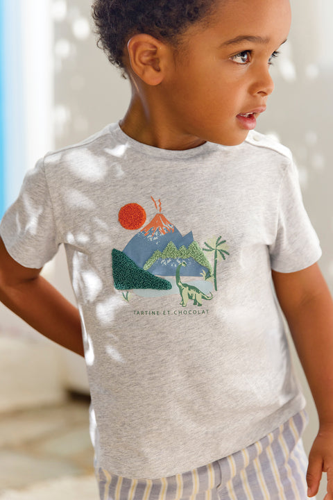 T-shirt - Gris coton explorateur - Image principale