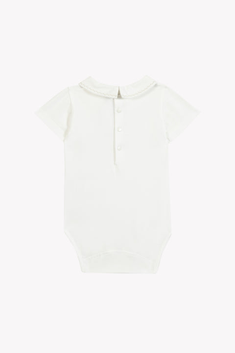 CC11011-13 - CORPO6 - Image principale