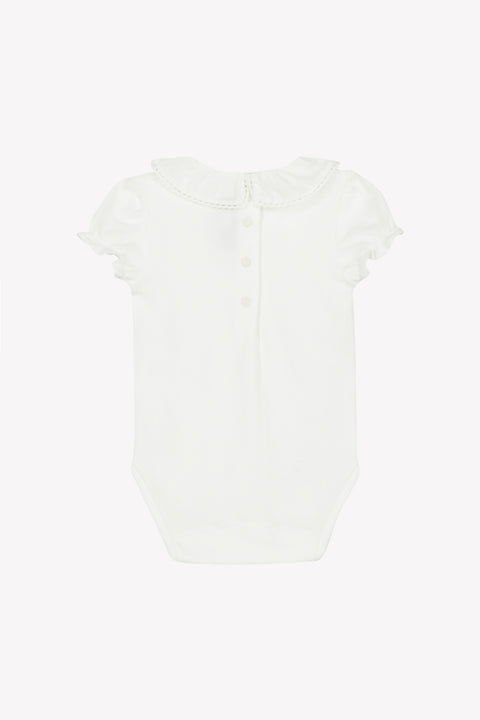 CC11081-13 - CORPO10 - Image principale