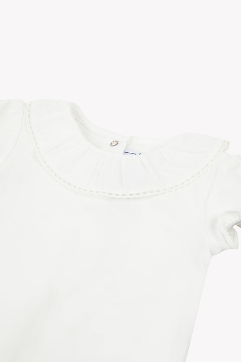 CC11081-13 - CORPO10 - Image principale