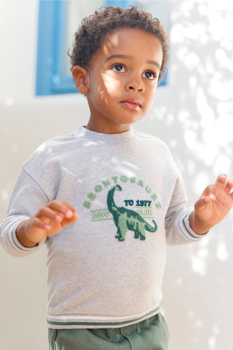 Sweat - Gris chiné coton illustration dinosaure - Image principale