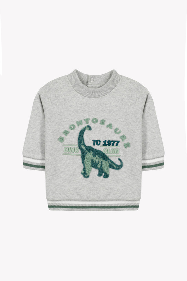 Sweat - Gris chiné coton illustration dinosaure - Image principale