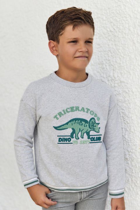 Sweat - Gris chiné coton dinosaure - Image principale