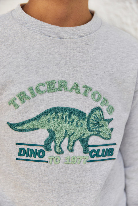 CC15013-22 - SWEAT1BIS - Image principale