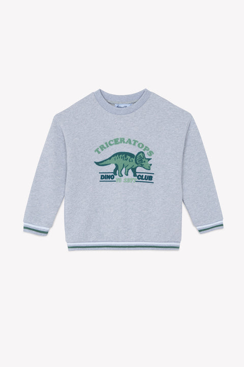 CC15013-22 - SWEAT1BIS - Image principale