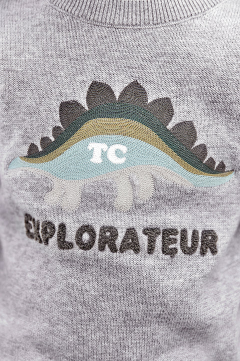 CC18053-22 - PULL2BIS - Image principale