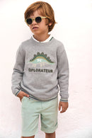 Jersey - Gris explorador