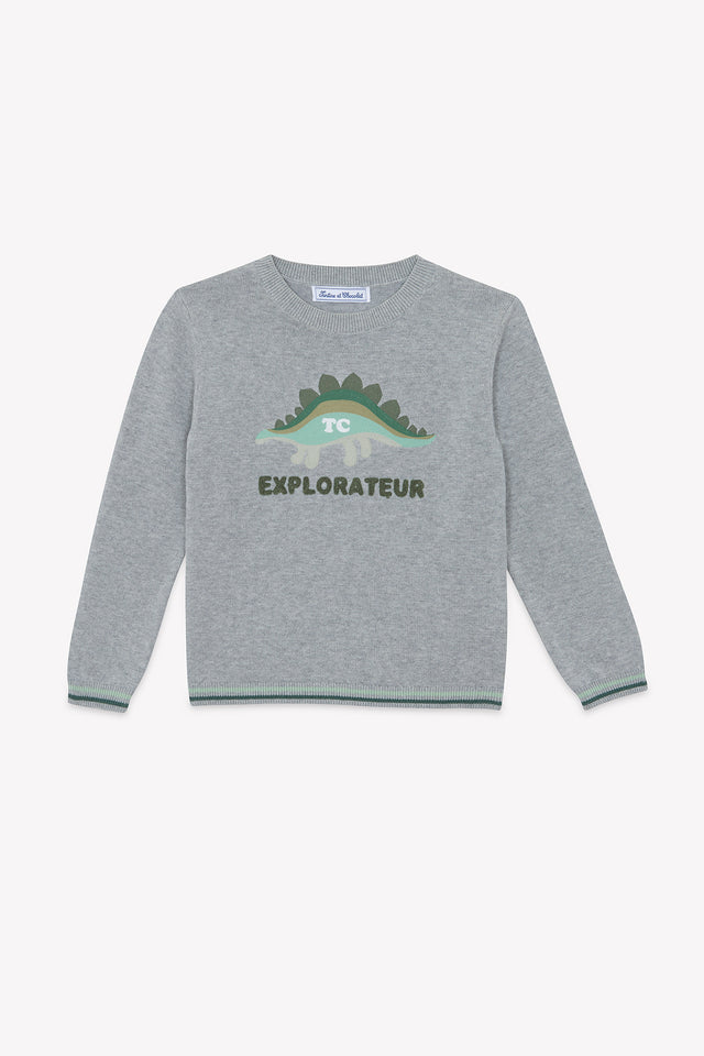 Sweater - Grey explorer cotton - Image principale