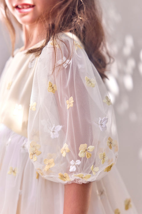 CC30172-71 - ROBER - Image principale