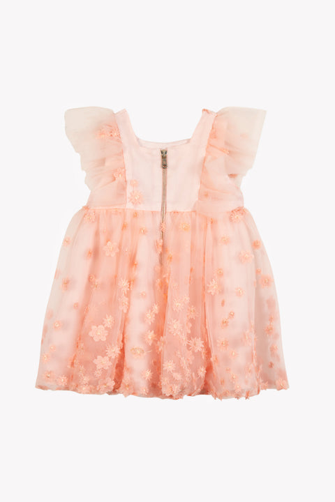 CC30191-32 - KLEID22 - Image principale