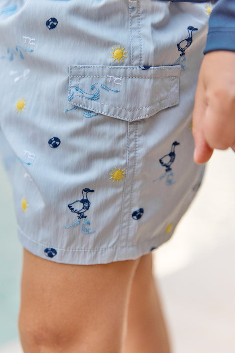 CC38043-44 - SURFISTA2BIS - Image principale