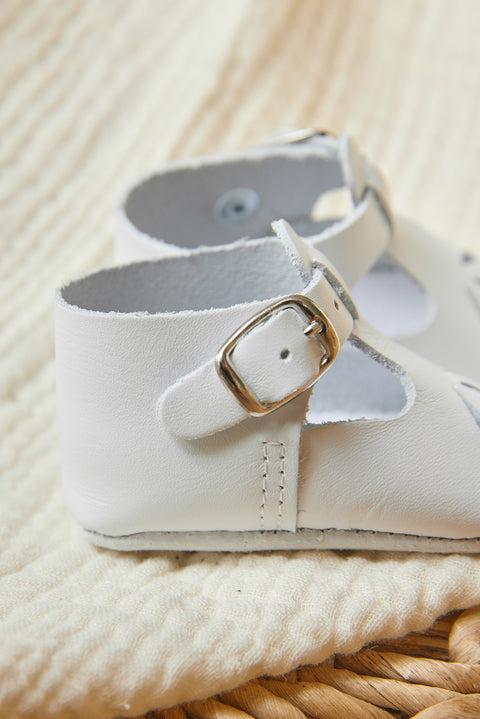 CC80011-01 - ZAPATO2 - Image principale