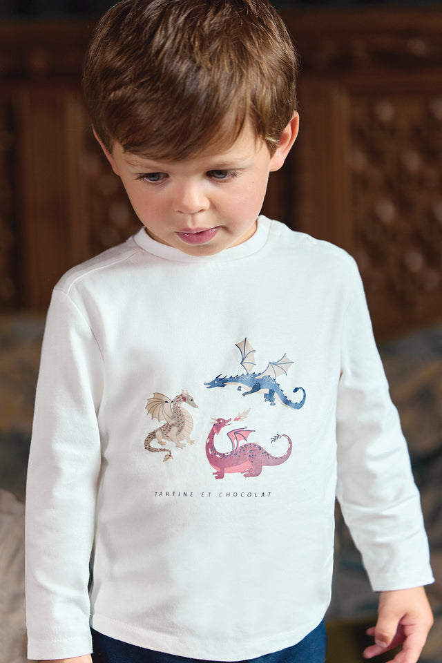 Camiseta - Algodón burdeos Estampado dinosaurios - Image principale