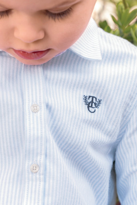 Shirt - Hellblau Baumwolle Streifens - Image principale