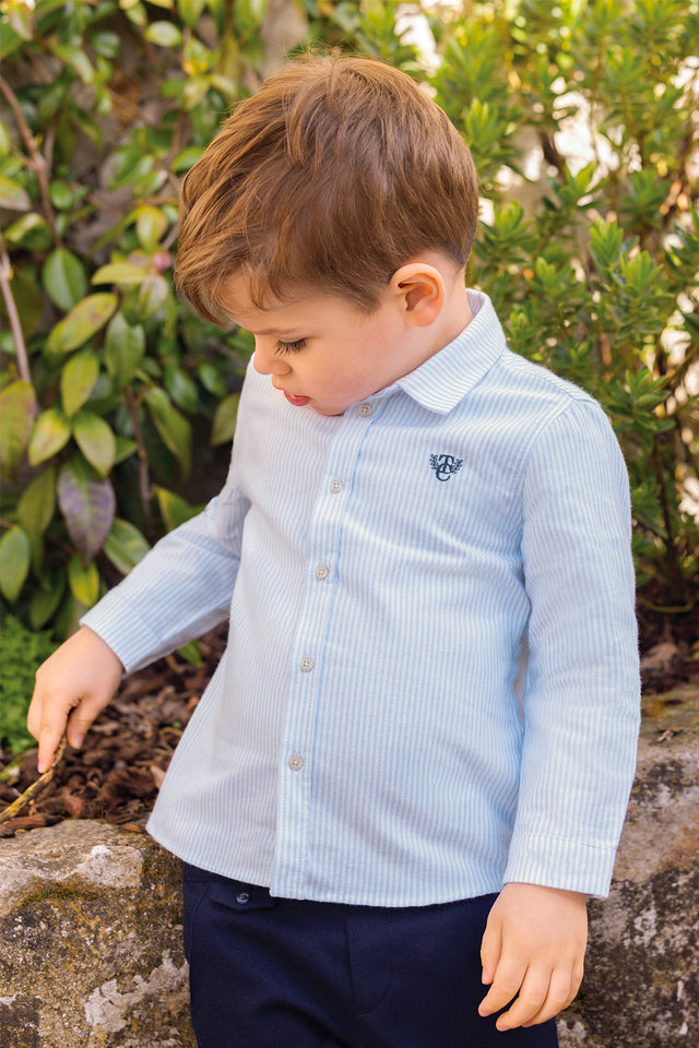 Shirt - Hellblau Baumwolle Streifens - Image principale